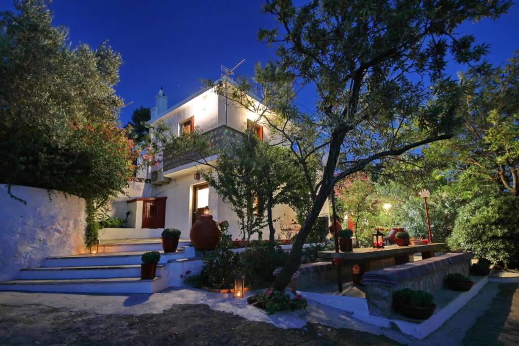 Παναής & Μαρία / Panais & Maria Villa Città di Skopelos Esterno foto