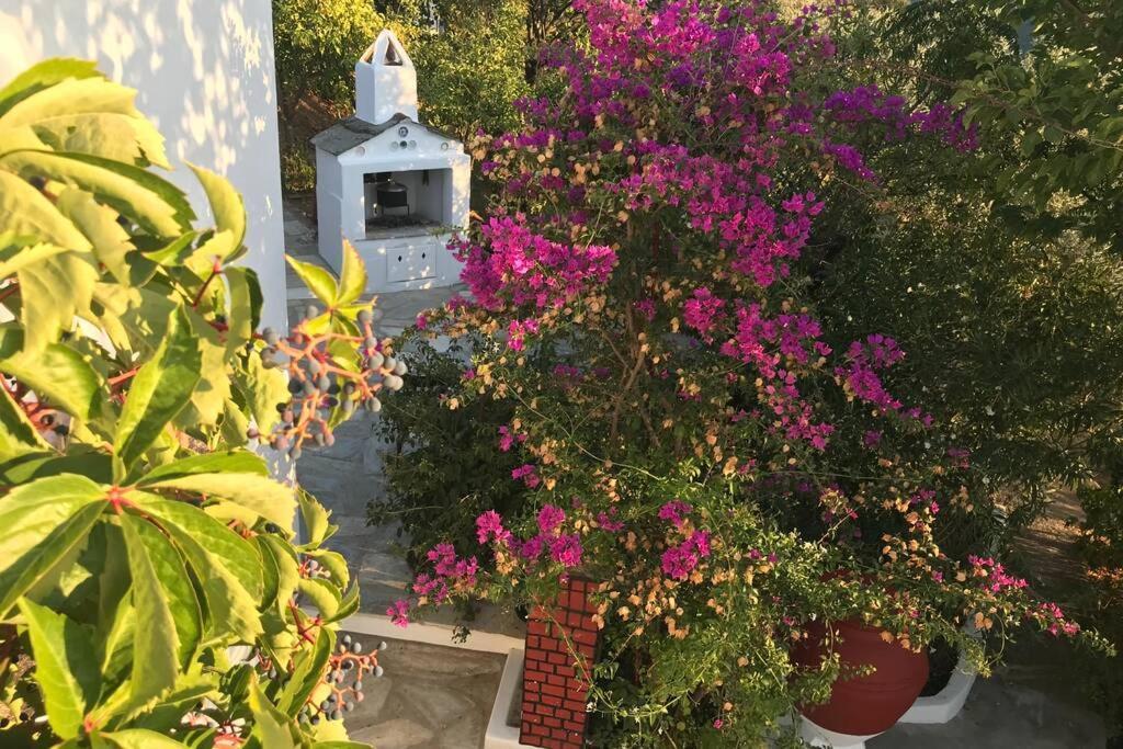 Παναής & Μαρία / Panais & Maria Villa Città di Skopelos Esterno foto