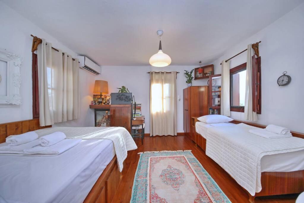 Παναής & Μαρία / Panais & Maria Villa Città di Skopelos Esterno foto